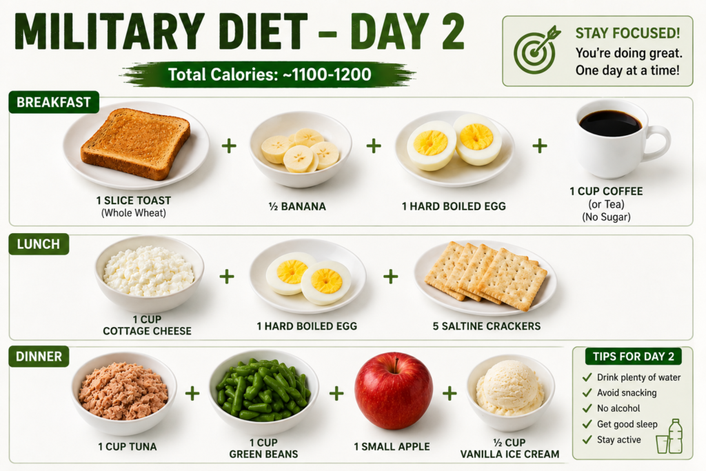 military diet day 2 meal plan